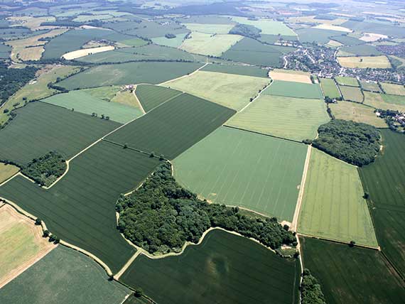 Arial photo of Heartwood Forest