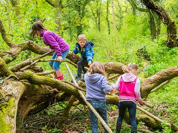Children playing at Heartwood