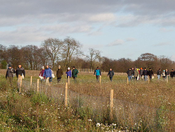 Guided walk at Heatwood Forest