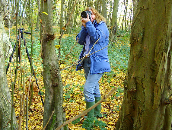 Lady photographing woodland